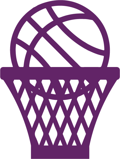 Basketball Icon